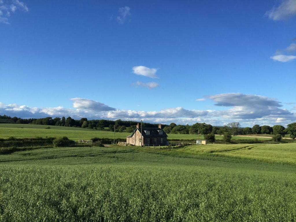 Blackhill Farm Cottage Perth Exteriér fotografie